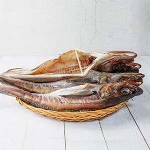 [속초직송] 강원도 완전손질 깔끔 코다리 5미 특대 45cm이상