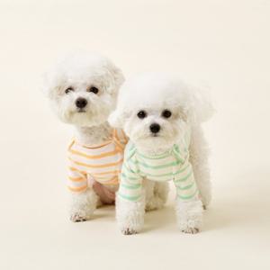 울리 파스텔 세인트 티셔츠 강아지 옷