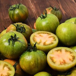 갤러리아_[준이네농장]부산직송 대저토마토 2.5kg/못난이