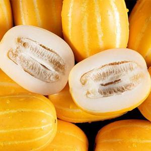 달콤한 못난이 성주 참외 5kg (9-40과)