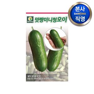 맛짱 미니 청오이 씨앗 10립 . 야채 채소 텃밭 파종 재배 주말 농장 씨 종자.