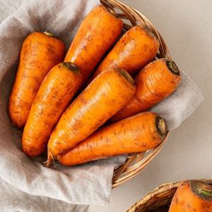 국내산 아삭 햇 흙당근 10kg (특)