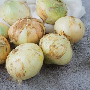 [청람] 국내산 햇 양파 3kg 상/요리용