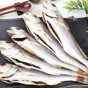 갤러리아_[속초반건조]쫀득하고 담백한 특대 반건조 대서양조기 5미(37cm