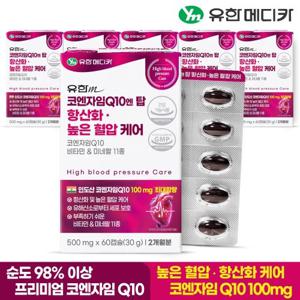 [유한메디카] 코엔자임Q10 엔 탑 항산화 높은 혈압 케어 60캡슐x6개(12개월)