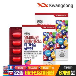 [광동] 멀티비타민미네랄 플러스 마그네슘 올인원 90정 2박스(6개월분) / 22종 종합 비타민 미네랄 비오틴