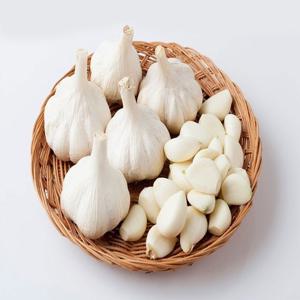 남해군 농협조공 햇 마늘 1kg 상등급 국산 남도마늘 통마늘 제철 채소 저장용 김장 요리 장아찌