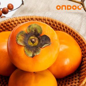 [온도씨] 달콤한 국내산 단감 대과 3kg (12과내외)