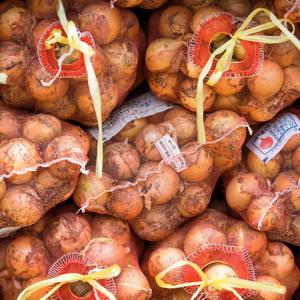 국내산 흰양파 중대혼합 3kg