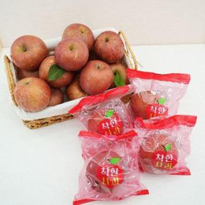 갤러리아_착한 부사 세척사과 실중량 10kg 꼬마소과