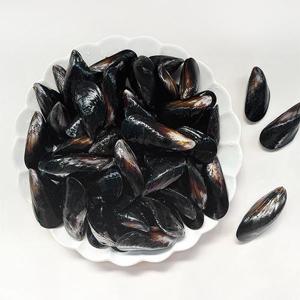 [남해촌놈들] 산지직송 국내산 홍합 5kg