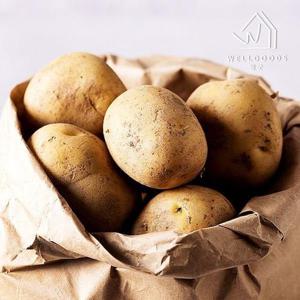 갤러리아_[웰굿] 강원도 포슬포슬한 두백감자 5kg(왕특,개당180-250g)