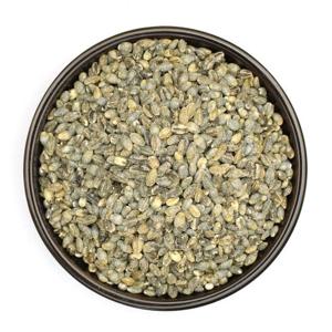 국산 녹색보리 청보리 청맥 2kg(1kgx2개)