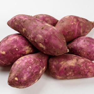 민경일 꿀 고구마 5kg 한입크기 (비세척)