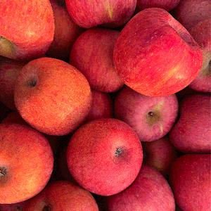 [자연의정] 경북 고당도 꿀 부사사과 중대과 5kg 12-20과