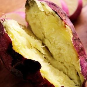 갤러리아_해남 밤고구마 5kg 특상