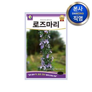 로즈마리 허브 씨앗 30립 . 정원 텃밭 화단 식물 파종 키우기 꽃씨 종자.