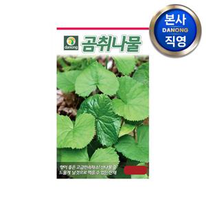 다농 곰취나물 씨앗 100립 . 야채 채소 텃밭 파종 재배 주말 농장 씨 종자.