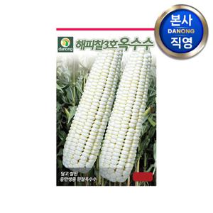 해피찰3호 흰찰옥수수 씨앗 70립 . 야채 채소 씨 종자 파종 주말 농장 텃밭.