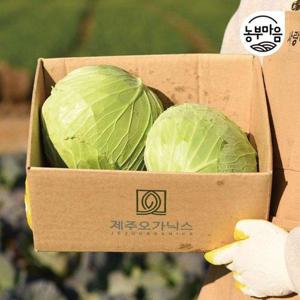 갤러리아_[친환경인증]제주 유기농 양배추 6kg(4-6통)