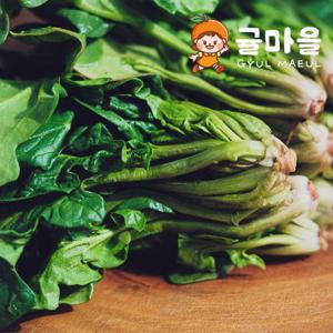 귤마을 국내산 손질 시금치 500g