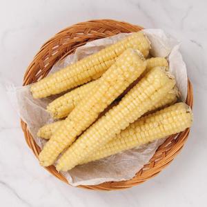 [품질보장/냉동] 바로먹는 괴산대학 삶은 찰옥수수 21개 (18cm내외)
