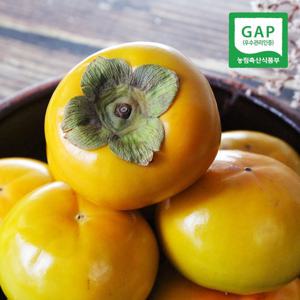 [생산자직송] 창원 부유 단감(특) 5kg