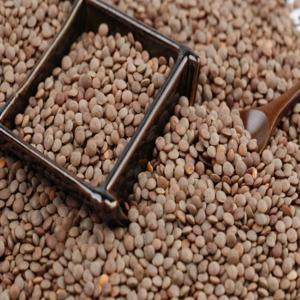 쌀집총각 캐나다 렌틸콩5kg