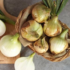 [더조은] 무안 햇양파 중대혼합 10kg