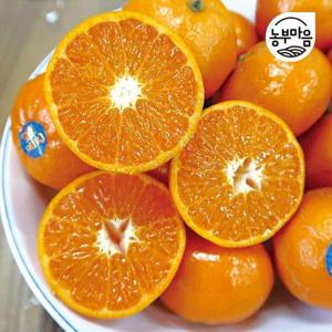 갤러리아_[농부마음]수입 귤 만다린 랜덤과 3kg