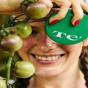 [테]풀초록35 톤업 선쿠션 [본품]