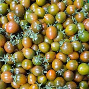 달콤 짭짤한 흑대추 방울토마토 2kg