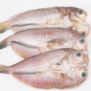 통영 손질 옥돔 2마리X3팩 (마리당 140-160g내외)