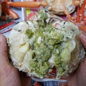 자숙 홍게 프리미엄3kg(9~11이내) 연지홍게 후포리