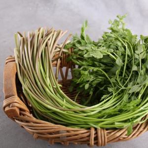 [산지직송] 청도 유기농 한재 미나리 1kg