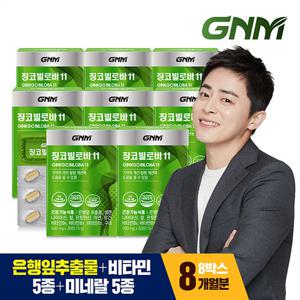 GNM 징코빌로바11 8박스 / 은행잎추출물 비타민B 아연 판토텐산