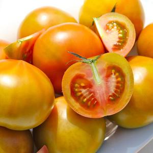 창녕 찰토마토 5kg(2S)