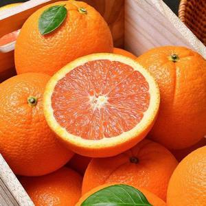 고당도 카라카라 오렌지 30과 대과(개당230g내외)