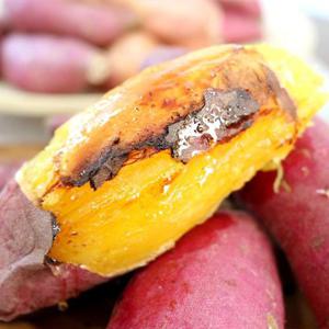 해남 꿀고구마 10kg 한입