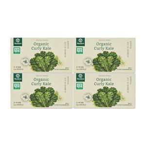 베네팜 유기농 곱슬케일 컬리케일분말 4박스(2g x 25포 x 4박스)