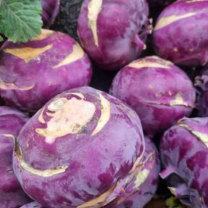 [맛딜]아삭 달콤한 국내산 콜라비 1kg 혼합과