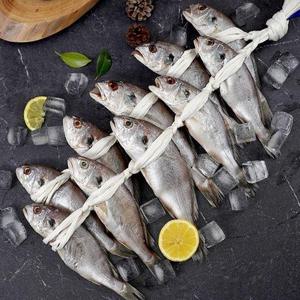 [새담] 국내산 법성포 영광백굴비 10미(1.2kg내외)