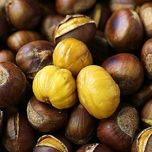 [맛꾼] 25년 통관 당도높은 칼집 약단밤 3kg(1.5kg x 2망)