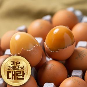 [파손2배보상] 무살충제 맥반석 구운계란 60구