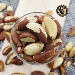 너츠브라더 25년산 햇 브라질너트 500g X 3봉 (총 1.5kg)