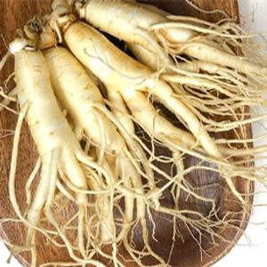 데오인삼 난발삼 300g 세척인삼 햇수삼