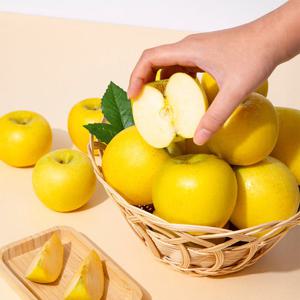 황금사과 시나노골드 주스용 랜덤과 10kg