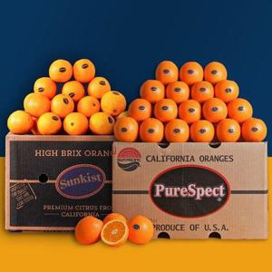 갤러리아_썬키스트/퓨어스팩 블랙라벨 오렌지 40과 중과