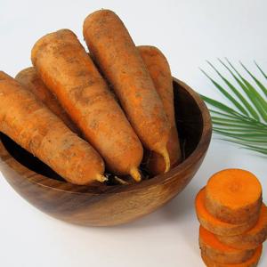 강원도 햇 흙당근 정품 5kg (중 사이즈)