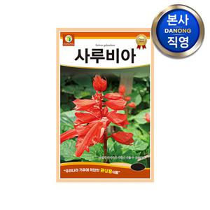 사루비아 씨앗 1.5g . 살비아 사르비아 샐비아 샐비어 야생화 식물 꽃씨 종자.